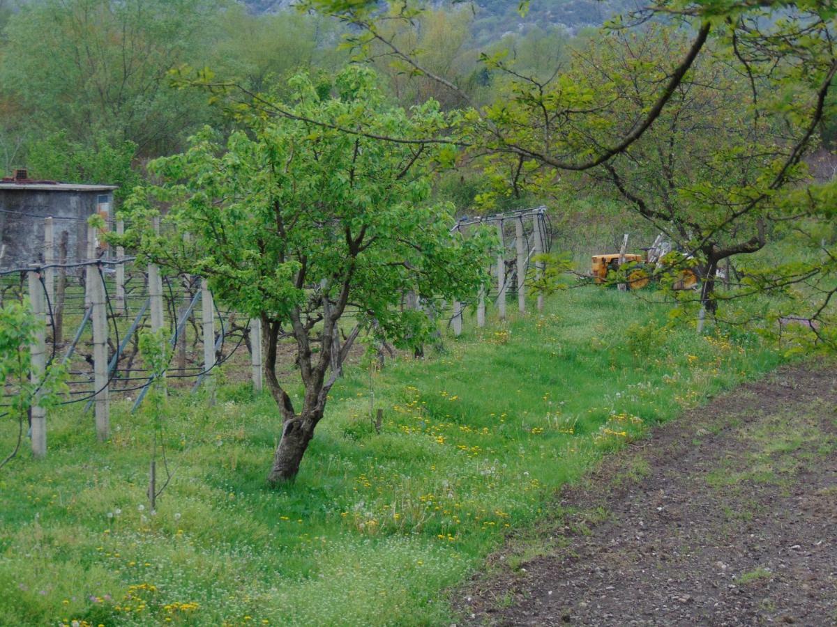 Studio And Winery Kalimut Guest House Virpazar Exterior photo